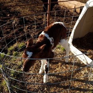 Meet your Posher, Greg